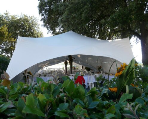 Image of our Capri Marquees set up in Topsham Devon. Sunflowers in the foreground